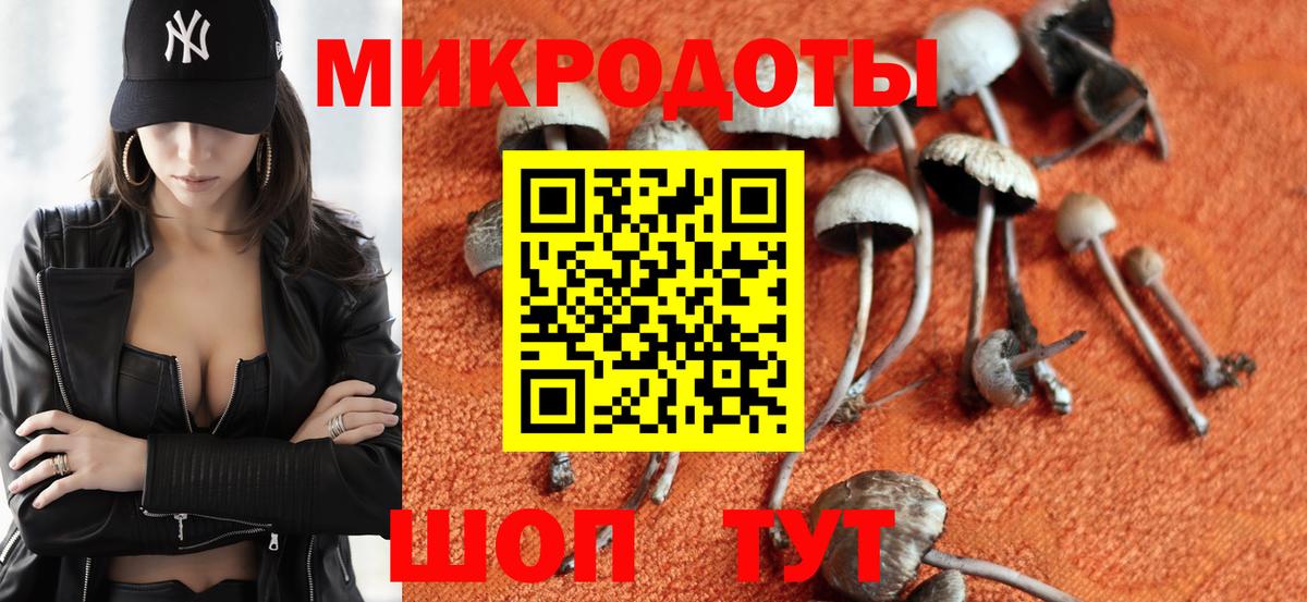 Псилоцибиновые грибы Cubensis Татарск